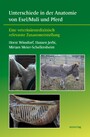 Unterschiede in der Anatomie von Esel/Muli und Pferd - Eine veterinärmedizinisch relevante Zusammenstellung
